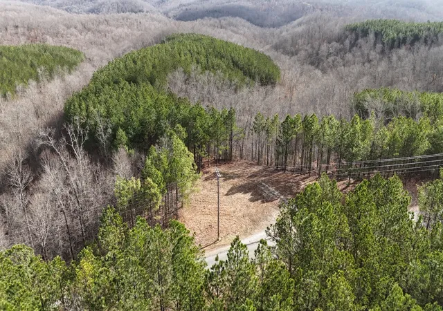 3rd image of 2932 Old Hohenwald Rd, Linden, TN 37096 | MLS# 3312561