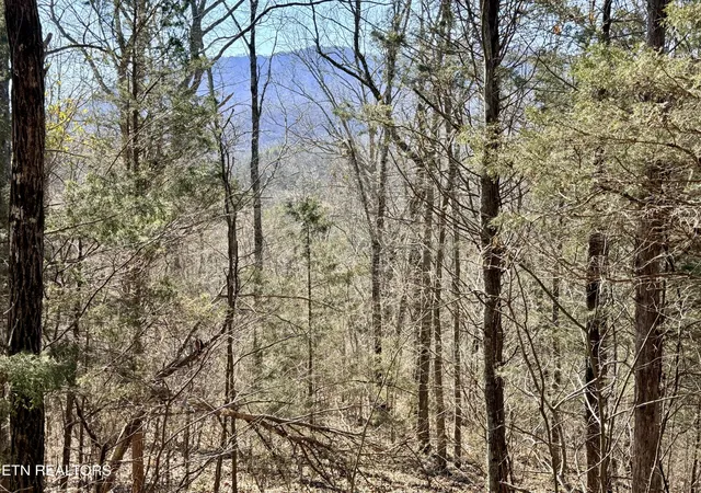 Photo 1 of Land for sale at 0 Sugar Loaf Rd, Sevierville, TN 37876 | MLS# 3541976 | Listing updated on 2026-09-21