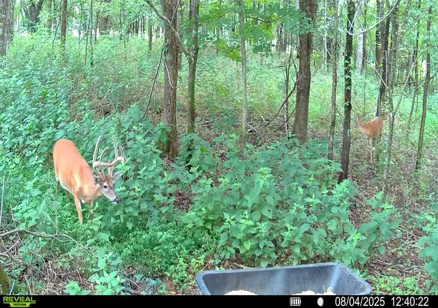 4th image of 510 Rogues Fork Rd, Bethpage, TN 37022 | MLS# 3145572