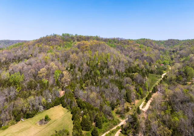 3rd image of 510 Rogues Fork Rd, Bethpage, TN 37022 | MLS# 3145572