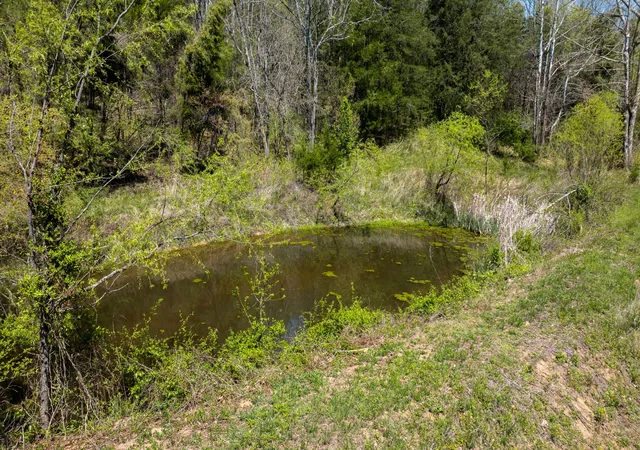 36th image of 510 Rogues Fork Rd, Bethpage, TN 37022 | MLS# 3145572