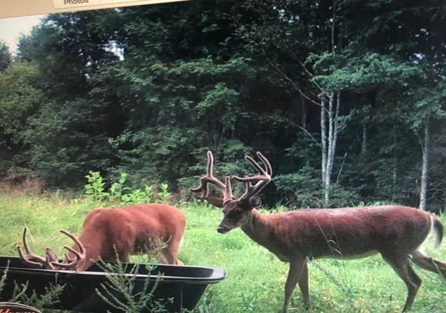 5th image of 510 Rogues Fork Rd, Bethpage, TN 37022 | MLS# 3145572