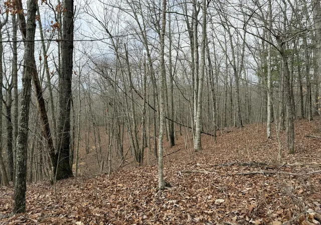 Homes for sale in Harriman, TN | 0 Grouse Ridge Road, Harriman, TN 37748 | MLS# 3269780