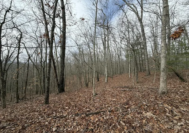 Homes for sale in Harriman, TN | 0 Grouse Ridge Road, Harriman, TN 37748 | MLS# 3269780