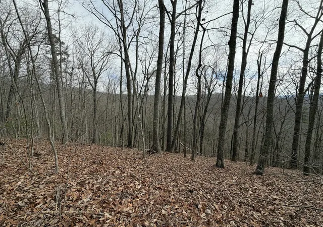Homes for sale in Harriman, TN | 0 Grouse Ridge Road, Harriman, TN 37748 | MLS# 3269780