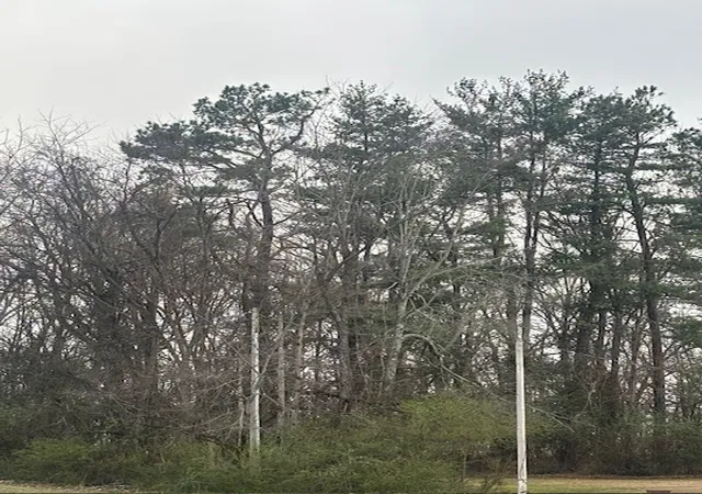 Photo 2 of Land for sale at 102 Lake Dr W, Dickson, TN 37055 | MLS# 3146054 | Listing updated on 2026-03-09