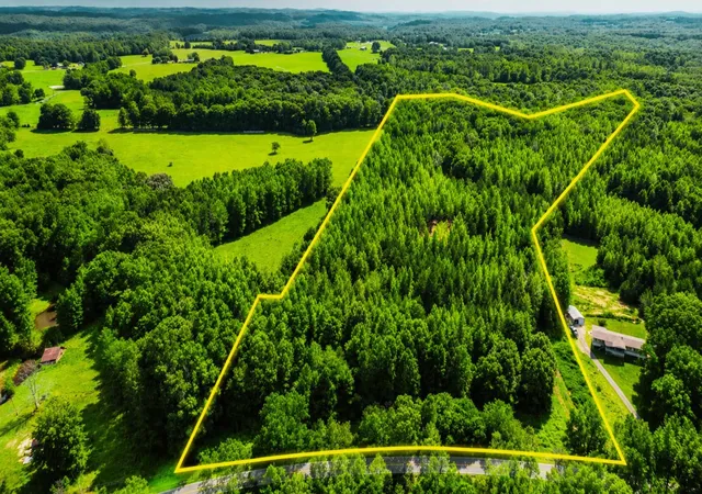 Homes for sale in Minor Hill, TN | 0 Tbd Davis Hollow Road, Minor Hill, TN 38473 | MLS# 3146431