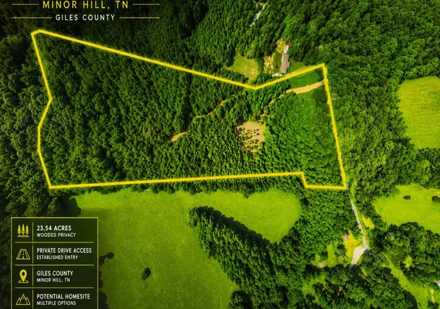 Homes for sale in Minor Hill, TN | 0 Tbd Davis Hollow Road, Minor Hill, TN 38473 | MLS# 3146431