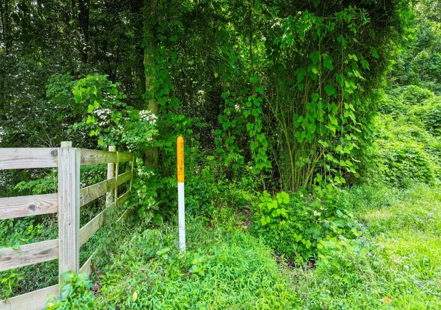 Homes for sale in Minor Hill, TN | 0 Tbd Davis Hollow Road, Minor Hill, TN 38473 | MLS# 3146431