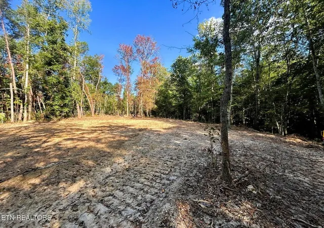 Homes for sale in Ten Mile, TN | 55 Pleasant Hill Road, Ten Mile, TN 37880 | MLS# 3244170