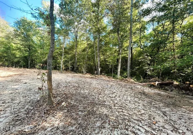 Homes for sale in Ten Mile, TN | 55 Pleasant Hill Road, Ten Mile, TN 37880 | MLS# 3244170