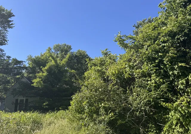 Homes for sale in Wartrace, TN | 0 White Rd, Wartrace, TN 37183 | MLS# 3224734