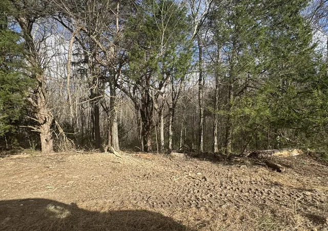 Homes for sale in Wartrace, TN | 0 White Rd, Wartrace, TN 37183 | MLS# 3224734