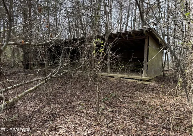 16th image of 1261 Roanoke Rd, Jamestown, TN 38556 | MLS# 3146277
