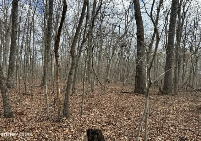 1st image of 1261 Roanoke Rd, Jamestown, TN 38556 | MLS# 3146277