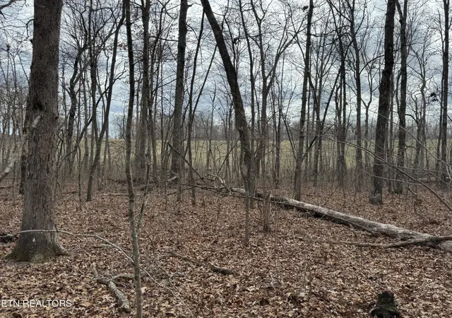 2nd image of 1261 Roanoke Rd, Jamestown, TN 38556 | MLS# 3146277