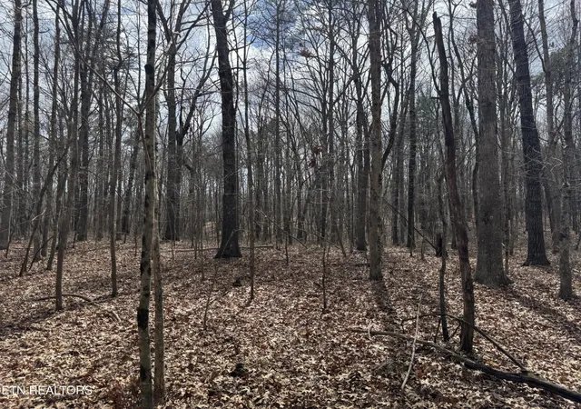 3rd image of 1261 Roanoke Rd, Jamestown, TN 38556 | MLS# 3146277