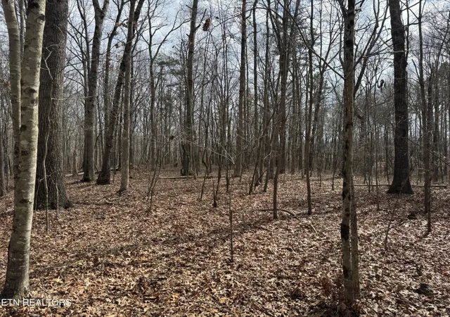 4th image of 1261 Roanoke Rd, Jamestown, TN 38556 | MLS# 3146277