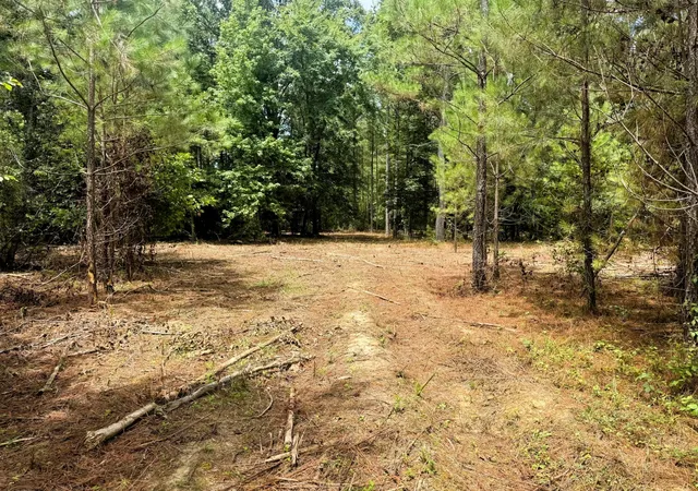 4th image of 27 Charles Road, Decatur, TN 37322 | MLS# 3244169