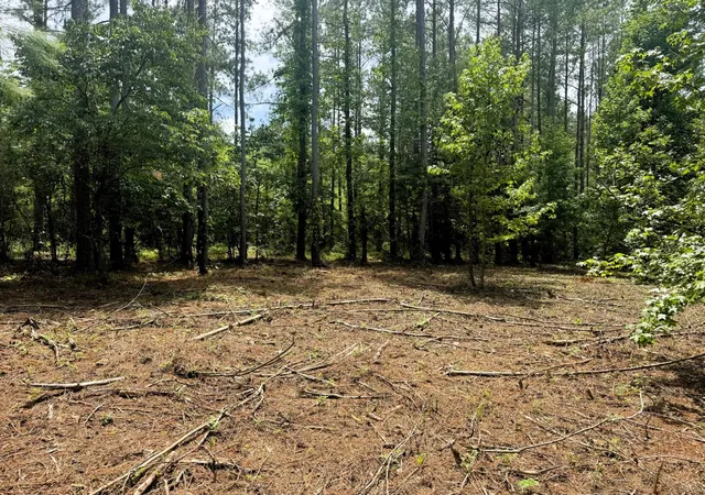 10th image of 27 Charles Road, Decatur, TN 37322 | MLS# 3244169