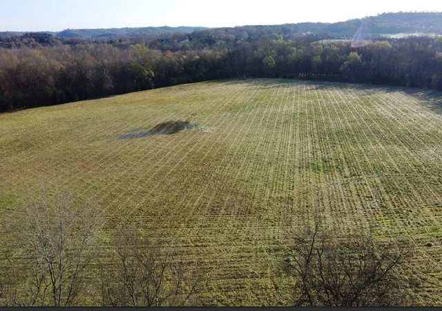 Homes for sale in Kelso, TN | 0 Golden Hollow Rd, Kelso, TN 37348 | MLS# 3146486
