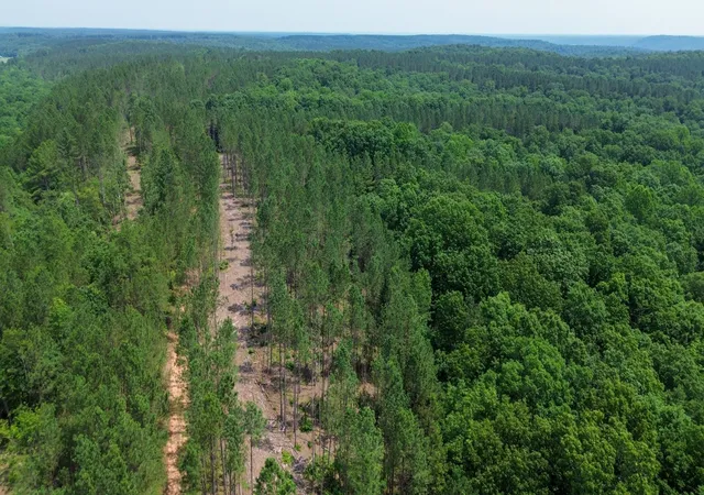 1st image of 0 Mayfield Divide Rd, Centerville, TN 37033 | MLS# 3146440