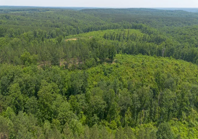 2nd image of 0 Mayfield Divide Rd, Centerville, TN 37033 | MLS# 3146440