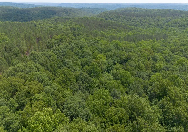 3rd image of 0 Mayfield Divide Rd, Centerville, TN 37033 | MLS# 3146440