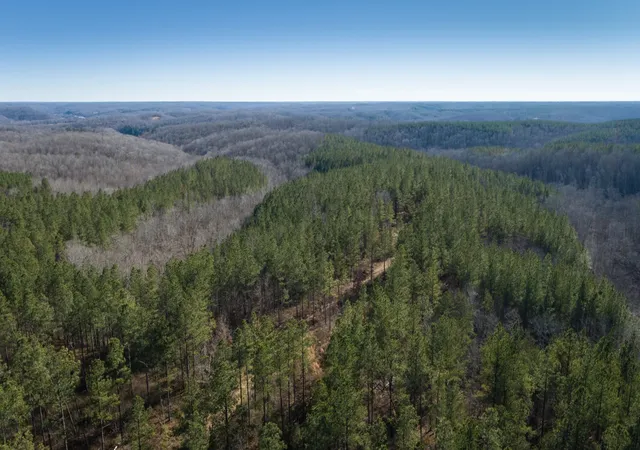 5th image of 0 Mayfield Divide Rd, Centerville, TN 37033 | MLS# 3146440