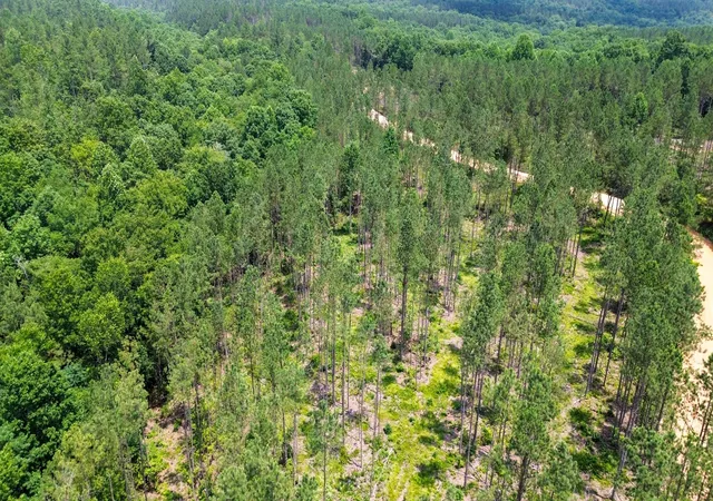 2nd image of 0 Salem Rd, Centerville, TN 37033 | MLS# 3146442