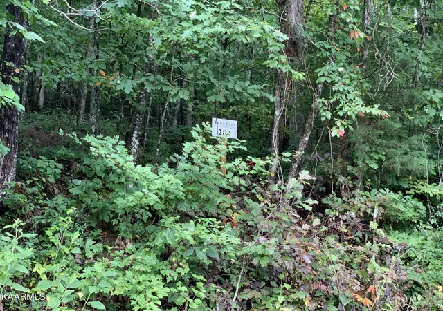Land for sale at 4507 Huffine Rd, Loudon, TN 37774 | MLS# 3615185
