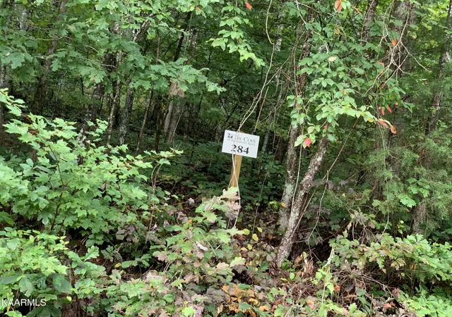 Photo 1 of Land for sale at 4507 Huffine Rd, Loudon, TN 37774 | MLS# 3615185 | Listing updated on 2026-10-08