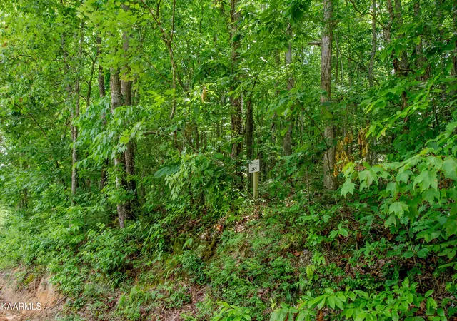Land for sale at 4521 Huffine Rd, Loudon, TN 37774 | MLS# 3615183