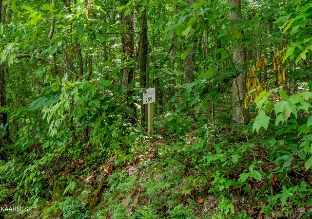 Photo 1 of Land for sale at 4521 Huffine Rd, Loudon, TN 37774 | MLS# 3615183 | Listing updated on 2026-10-08