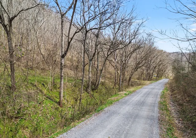 Land for sale at 0 Buckeye Holw Rd, Smithville, TN 37166 | MLS# 3148451