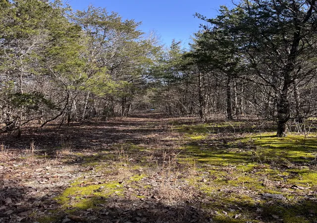 Photo 3 of Land for sale at 0 E Pitts Ln, Murfreesboro, TN 37130 | MLS# 3146895 | Listing updated on 2026-03-10