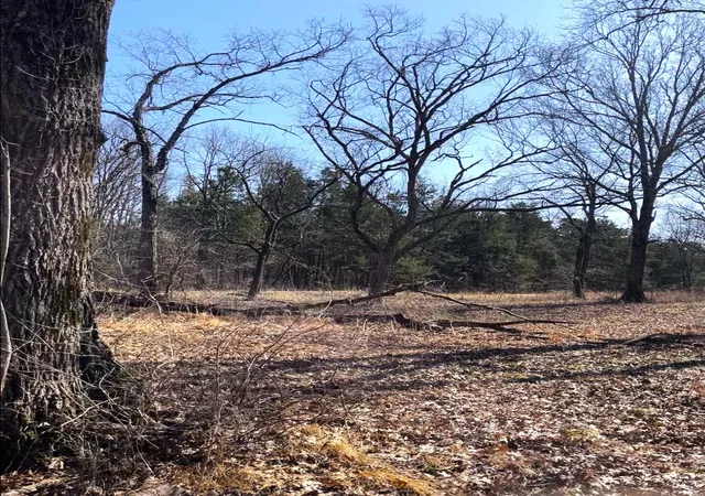 Photo 4 of Land for sale at 0 E Pitts Ln, Murfreesboro, TN 37130 | MLS# 3146895 | Listing updated on 2026-03-10