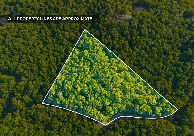 Homes for sale in Cadiz, KY | 0 Periwinkle Hill Rd, Cadiz, KY 42211 | MLS# 3147055