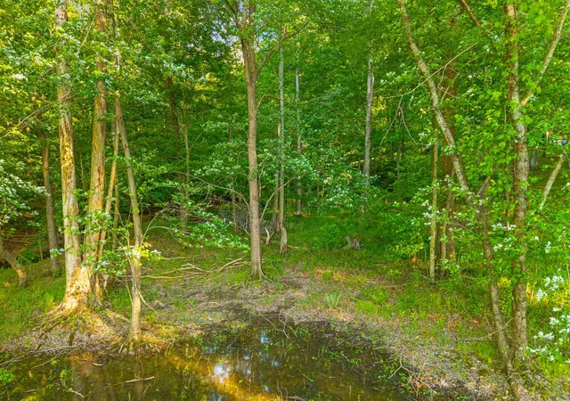 Homes for sale in Cadiz, KY | 0 Periwinkle Hill Rd, Cadiz, KY 42211 | MLS# 3147055