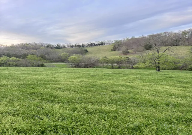 Land for sale at 0 Short Rd, Lewisburg, TN 37091 | MLS# 3146866