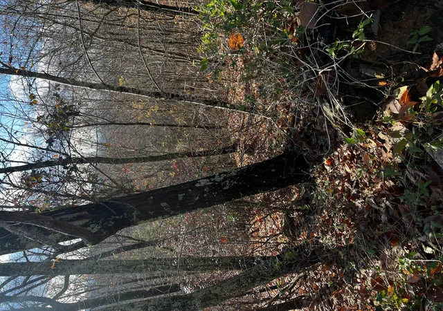 30th image of 0 Rocky Ledge Road, Hixson, TN 37343 | MLS# 3211743