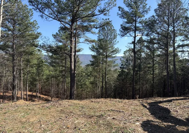 Homes for sale in Etowah, TN | 0 County Road 609, Etowah, TN 37331 | MLS# 3216201