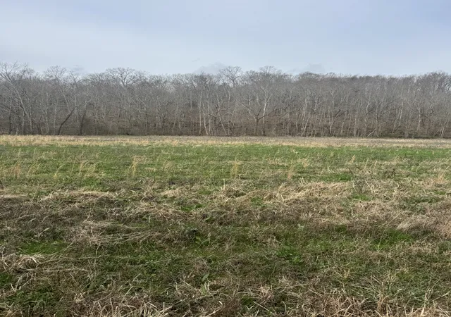 2nd image of 1234 Puncheon Creek Road, Lafayette, TN 37083 | MLS# 3147830