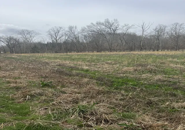 3rd image of 1234 Puncheon Creek Road, Lafayette, TN 37083 | MLS# 3147830
