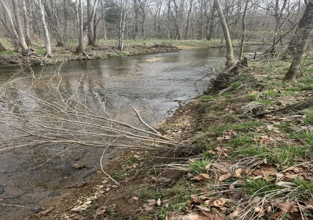 4th image of 1234 Puncheon Creek Road, Lafayette, TN 37083 | MLS# 3147830