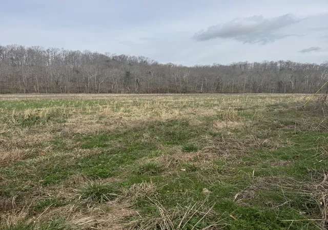 1st image of 1234 Puncheon Creek Road, Lafayette, TN 37083 | MLS# 3147830