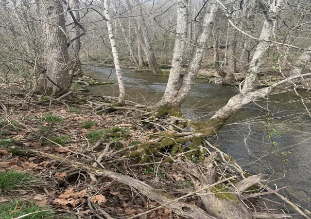 5th image of 1234 Puncheon Creek Road, Lafayette, TN 37083 | MLS# 3147830