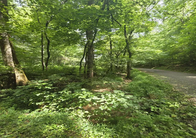 84th image of 627 Stewart Hollow Rd, Lynchburg, TN 37352 | MLS# 3148308