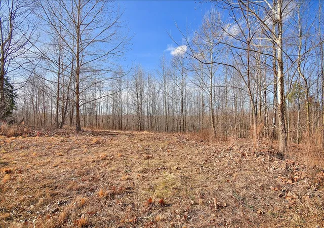 5th image of 0 Saddleback Dr, Dover, TN 37058 | MLS# 3147216