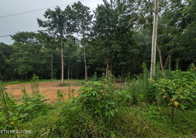 Homes for sale in Jamestown, TN | 248 N Norris St, Jamestown, TN 38556 | MLS# 3147247